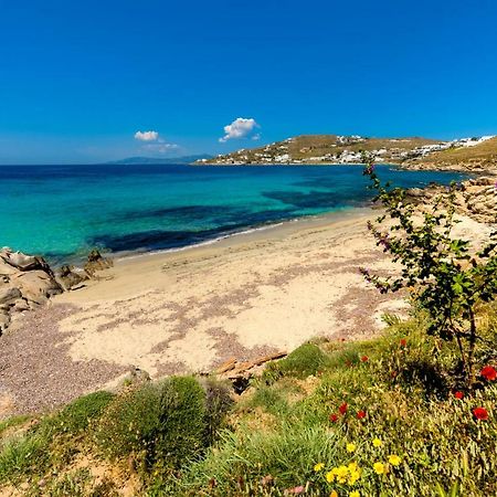 Amorous Luxury Villa Agios Ioannis Diakoftis Екстер'єр фото