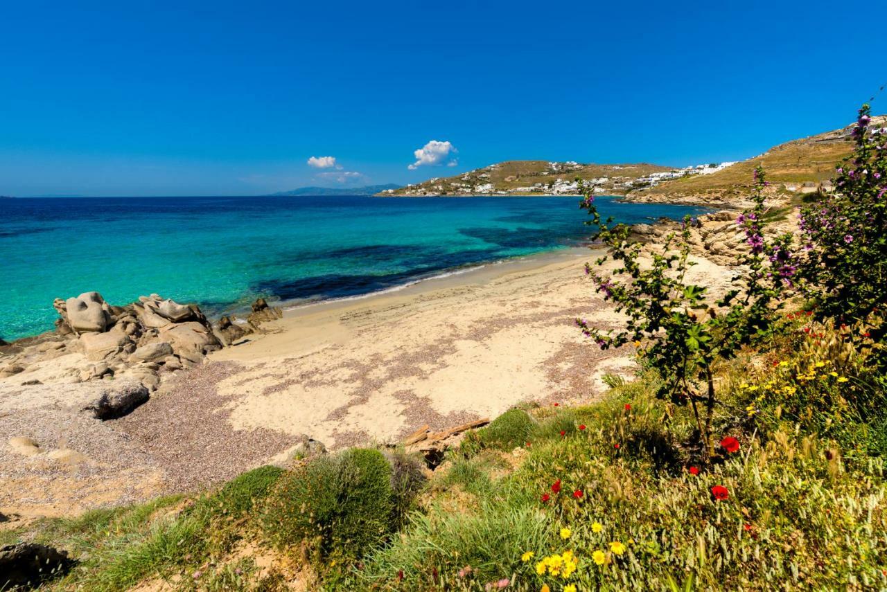 Amorous Luxury Villa Agios Ioannis Diakoftis Екстер'єр фото